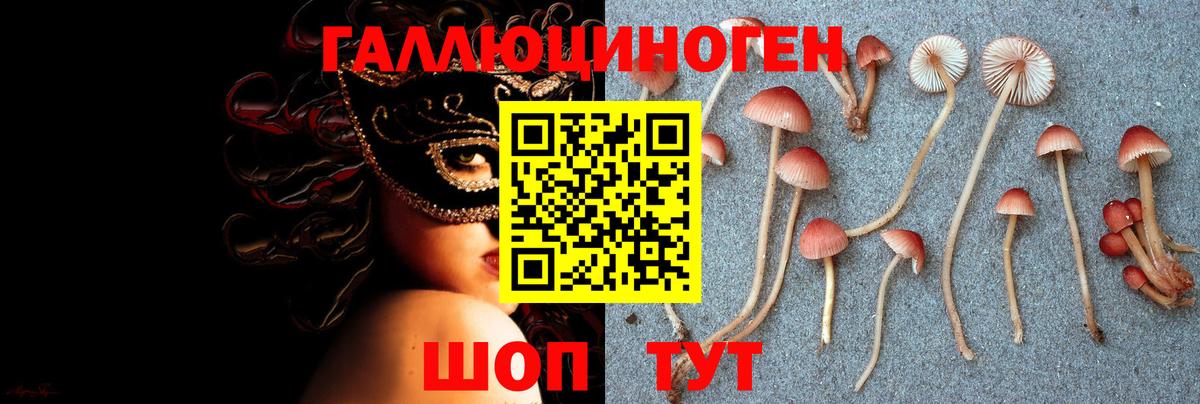 МЕФ Миасс